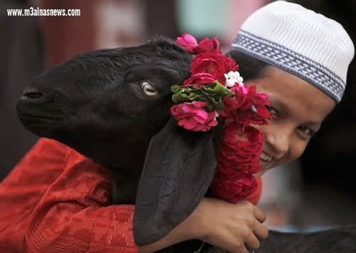 فلكيا : عيد الأضحى ٢٠ يوليو